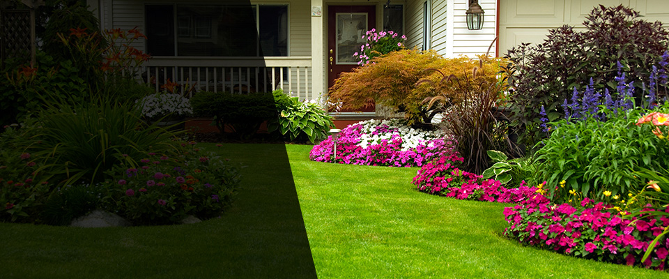 Awendaw Landscapers