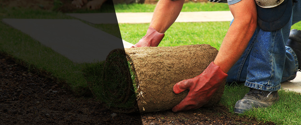 Awendaw Landscapers